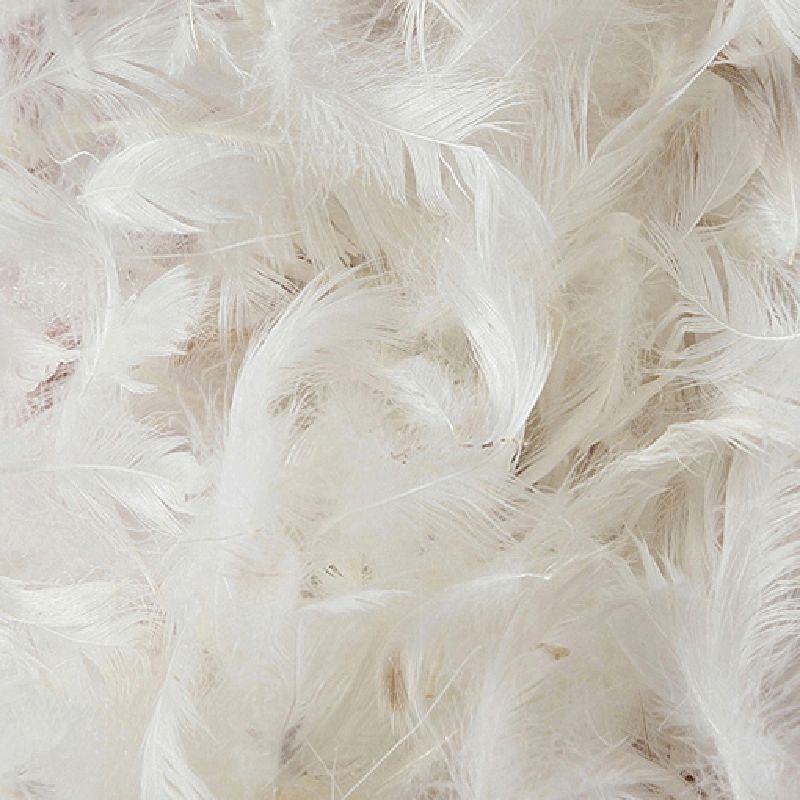 Pillow Top Arm Loveseat Sponge/Down Filled Cushions Sofa with Loose Back Clearhalo 'furn' 'furn_sofas' 'Furniture' 'furniture_sofas' 'Living Room Furniture' 'Sofa' 'sofas' 1200x1200_bcce244a-a20d-4891-9692-f0dee165a7aa