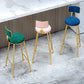 Glam Armless Backrest Counter Stool Steel Cashier Bar Stool with Flannel Cushion and Pedal Clearhalo 'Bar Furniture' 'Bar Stools' 'bar_stools' 'furn' 'furn_bar_stools' 'Furniture' 'furniture_bar_stools' 'Kitchen & Dining Furniture' 1200x1200_bce626a0-7220-4313-acb0-c25fb7f880f3