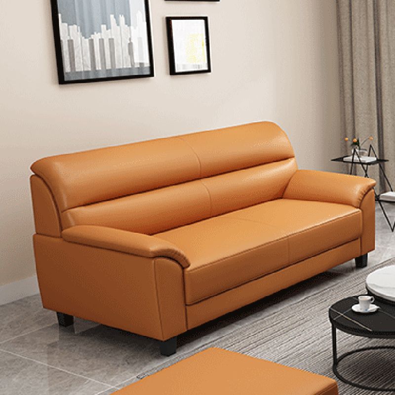 Contemporary Pillow Top Arm Sofa Single Cushion Seat for Living Room Clearhalo 'furn' 'furn_sofas' 'Furniture' 'furniture_sofas' 'Living Room Furniture' 'Sofa' 'sofas' 1200x1200_bd1023ea-cf57-43b0-bea1-c4df8626be18