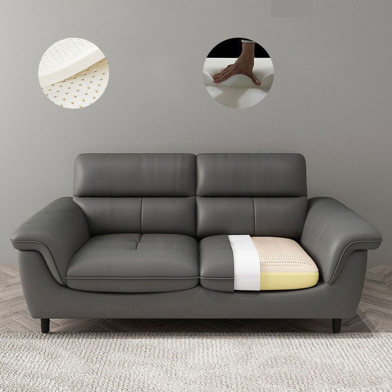 Modern 34.64" H Genuine Leather Pillow Top Arm Sofa for Living Room Clearhalo 'furn' 'furn_sofas' 'Furniture' 'Living Room Furniture' 'Sofa' 'sofas' 1200x1200_bd58b715-62a3-43e0-b204-222c1c812351