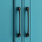Manufactured Wood Blue Storage Cabinet Coastal Cabinet with Hinged Door Clearhalo 'Armoires & Wardrobes' 'armoires_wardrobes' 'Bedroom Furniture' 'furn' 'furn_armoires_wardrobes' 'Furniture' 1200x1200_bd65e7cf-a9fc-419f-acd2-8cc9b4f78472
