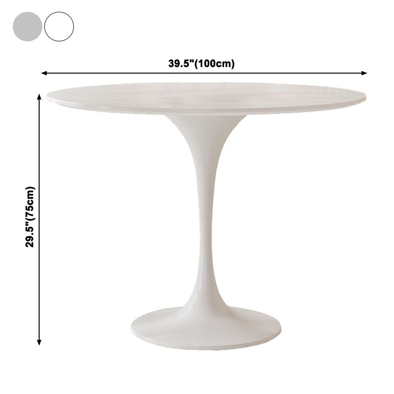 Round Tulip Base Modern Dining Table White Tone Fixed Table for Dining Room Clearhalo ' dining_table' 'Dining Tables & Seating' 'Dining Tables' 'furn' 'furn_dining_table' 'Furniture' 'furniture_dining_table' 'Kitchen & Dining Furniture' 'kitchen&dining_furn' 'kitchen' 'kitchen_dining_table' 1200x1200_bdc745c5-ec07-4d5c-98f4-fa842e7ce555