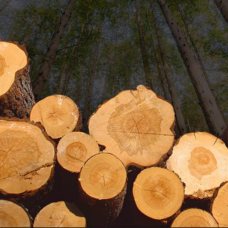 Tavolo da sgabello da barregangole in legno massiccio contemporaneo per soggiorno