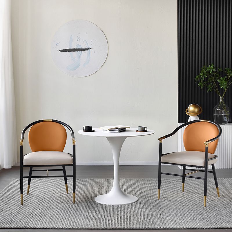 Metal Modern Round Table Sintered Stone Table for Kitchen and Dining Room Clearhalo ' dining_table' 'Dining Tables & Seating' 'Dining Tables' 'furn' 'furn_dining_table' 'Furniture' 'furniture_dining_table' 'Kitchen & Dining Furniture' 'kitchen&dining_furn' 'kitchen' 'kitchen_dining_table' 1200x1200_bdff80d1-a244-4eec-9143-dca77c2bb171