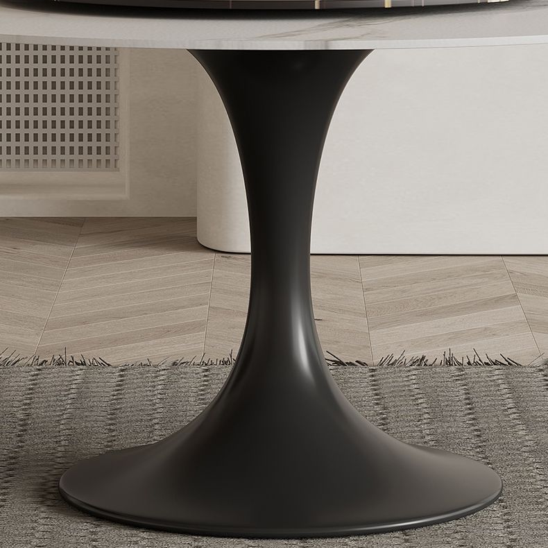 Modern Round Dining Table Set 1/3/4/5/7 Pieces Sintered Stone Dinette Set with Turntable Clearhalo 'Dining Room Sets' 'Dining Tables & Seating' 'dining_room_set' 'furn' 'furn_dining_room_set' 'Furniture' 'furniture_dining_room_set' 'Kitchen & Dining Furniture' 1200x1200_be21b206-8fe9-4131-8084-0428b25e2567