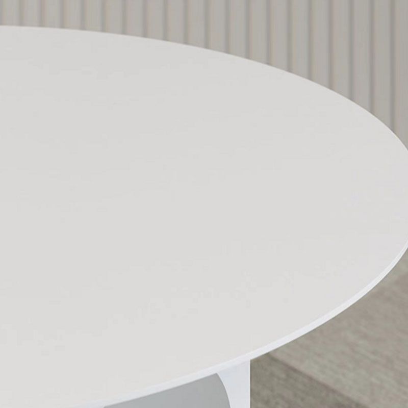 19.6"Tall Mid-Century Metal Round Top Side Table Pedestal End Table