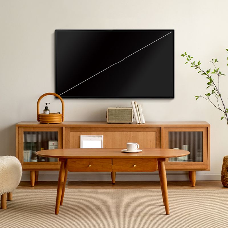 Scandinavian Enclosed Storage TV Stand Pine TV Media Console with Storage Clearhalo 'furn' 'furn_tv_stands_entertainment_centers' 'Furniture' 'Living Room Furniture' 'TV Stands & Entertainment Centers' 'TV Stands & Media Storage Furniture' 'tv_stands_entertainment_centers' 1200x1200_bf1ff150-7419-4cfd-95ae-6bef8a410760
