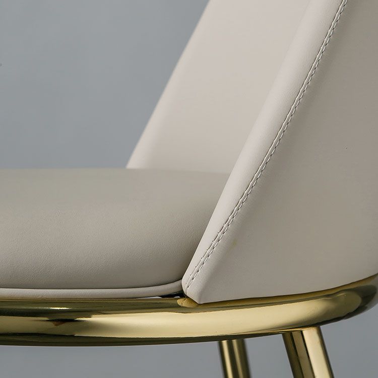 Modern Side Dining Chairs Entryway Dining Chairs for Dining Room Clearhalo 'Dining Chairs' 'Dining Tables & Seating' 'dining_chair' 'furn' 'furn_dining_chair' 'Furniture' 'furniture_dining_chair' 'Kitchen & Dining Furniture' 1200x1200_bf202aff-22d6-4ec3-a63d-9041977b8827