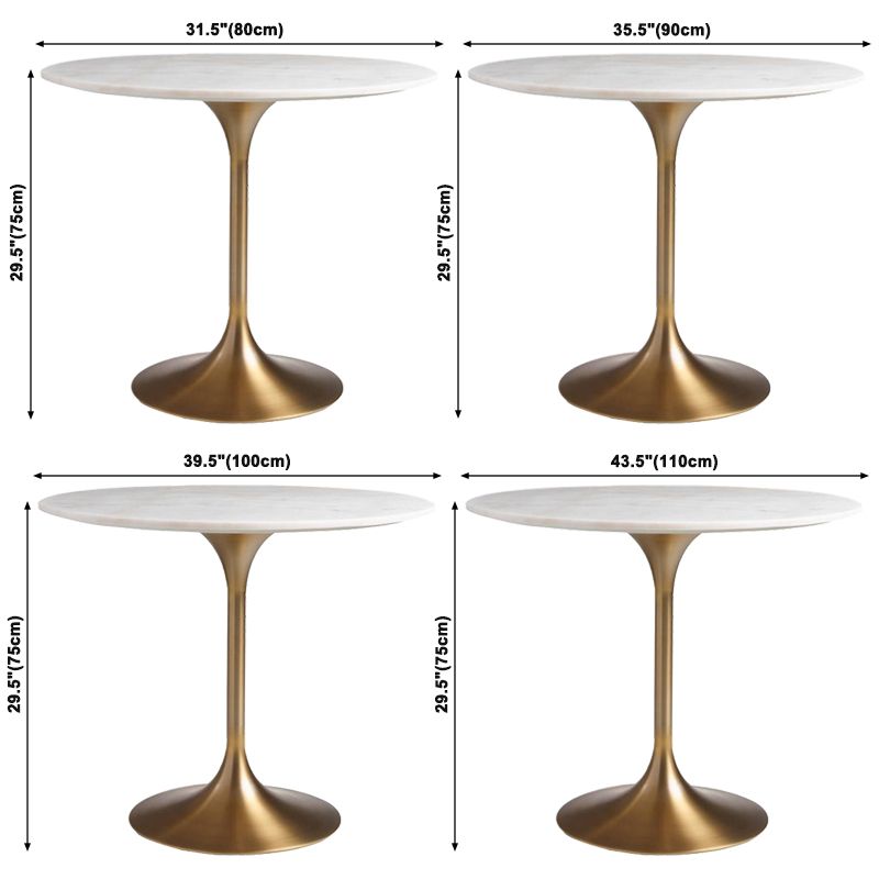 Round Tulip Base Glam Dining Table White Fixed Table with Sintered Stone Clearhalo ' dining_table' 'Dining Tables & Seating' 'Dining Tables' 'furn' 'furn_dining_table' 'Furniture' 'furniture_dining_table' 'Kitchen & Dining Furniture' 'kitchen&dining_furn' 'kitchen' 'kitchen_dining_table' 1200x1200_bf65408e-4043-4bfb-9497-5729941a9130
