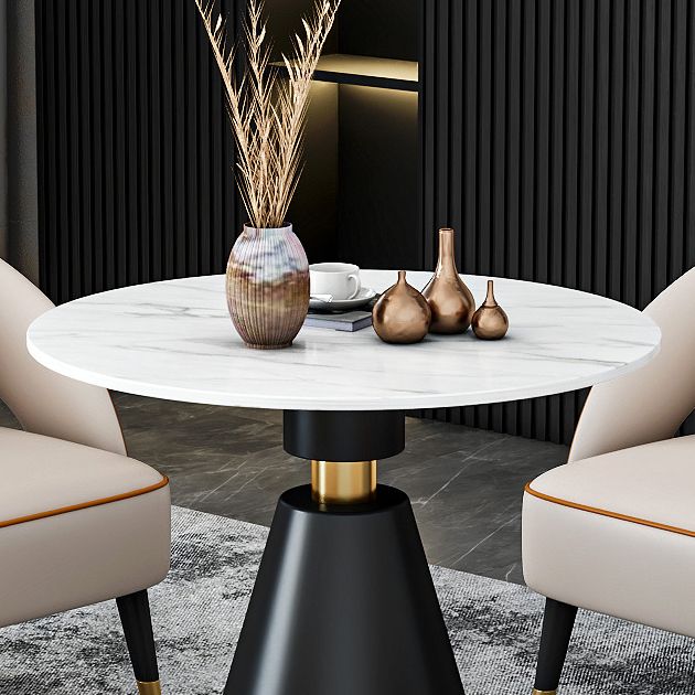 Traditional Luxury Round Dining Room Table Sintered Stone Table with Black Pedestal Base Clearhalo ' dining_table' 'Dining Tables & Seating' 'Dining Tables' 'furn' 'furn_dining_table' 'Furniture' 'furniture_dining_table' 'Kitchen & Dining Furniture' 'kitchen&dining_furn' 'kitchen' 'kitchen_dining_table' 1200x1200_bf74c6b5-e0c4-4f59-a9ef-973d8c46c434