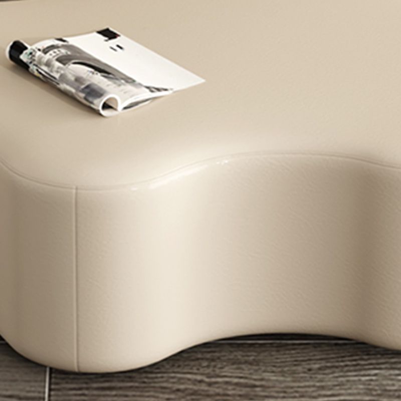 Modern Bedroom Entryway Bench Solid Wood Upholstered Seating Bench Clearhalo 'Benches' 'Chairs & Seating' 'furn' 'furn_benches' 'Furniture' 'Living Room Furniture' 1200x1200_bfb69cd0-68e4-4bb7-9621-ef43a3f35fe7