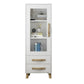 Closed Back Engineered Wood Bookshelf Standard Contemporary Bookcase