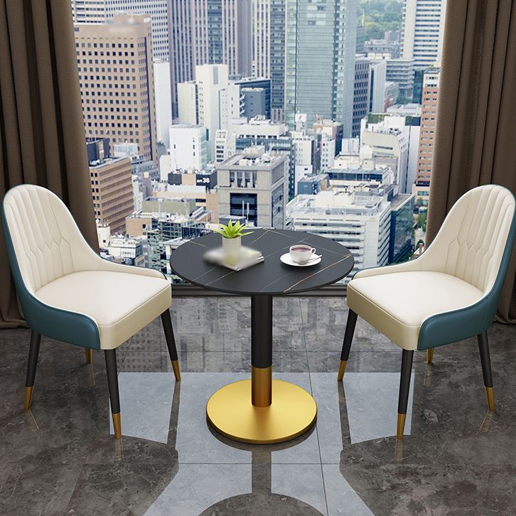 Scandinavian Style Metal Chair Dining Room Parsons Back Chairs (Set of 2) Clearhalo ' kitchen&dining_furn' 'Dining Chairs' 'Dining Tables & Seating' 'dining_chair' 'furn' 'furn_dining_chair' 'Furniture' 'furniture_dining_chair' 'Kitchen & Dining Furniture' 'kitchen' 1200x1200_c010f581-1cd5-4b54-9807-22763b3dd0bf