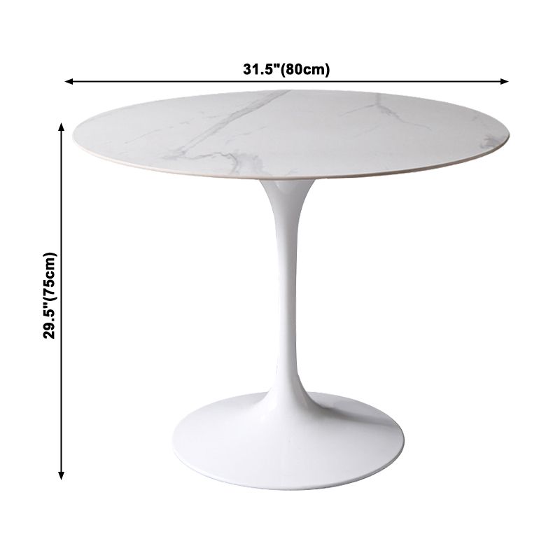 Simplicity Round Dining Table Sintered Stone Table with White Tulip Base for Dining Room Clearhalo ' dining_table' 'Dining Tables & Seating' 'Dining Tables' 'furn' 'furn_dining_table' 'Furniture' 'furniture_dining_table' 'Kitchen & Dining Furniture' 'kitchen&dining_furn' 'kitchen' 'kitchen_dining_table' 1200x1200_c047d503-05ff-4b6c-ba59-0044a7c2d84d