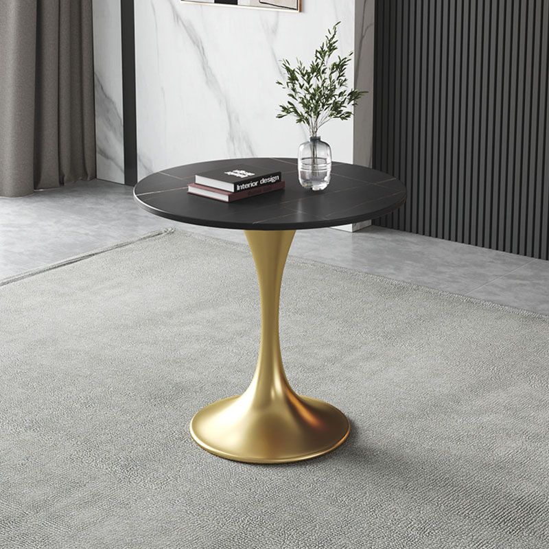 Metal Traditional Luxury Round Table for Home Sintered Stone Table with Tulip Clearhalo 'Dining Tables & Seating' 'Dining Tables' 'dining_table' 'furn' 'furn_dining_table' 'Furniture' 'Kitchen & Dining Furniture' 1200x1200_c057e293-6396-4f44-959d-6eb14fca9d15
