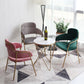Home Kitchen Accent Chair Velvet Arm Upholstered Dining Chair