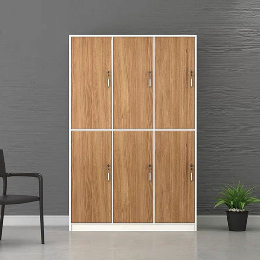 Contemporary Brown Storage Cabinet Manufactured Wood Hinged Door Cabinet