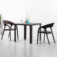 Modern Style Dining Chair Plastic Arm Chair with Plastic Legs for Kitchen