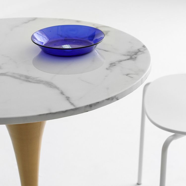 Metal Modern Round Dining Table Marble Top Indoor Table with Tulip Base Clearhalo ' dining_table' 'Dining Tables & Seating' 'Dining Tables' 'furn' 'furn_dining_table' 'Furniture' 'furniture_dining_table' 'Kitchen & Dining Furniture' 'kitchen&dining_furn' 'kitchen' 'kitchen_dining_table' 1200x1200_c127787d-69f6-412f-b06f-6f1b3f89756f
