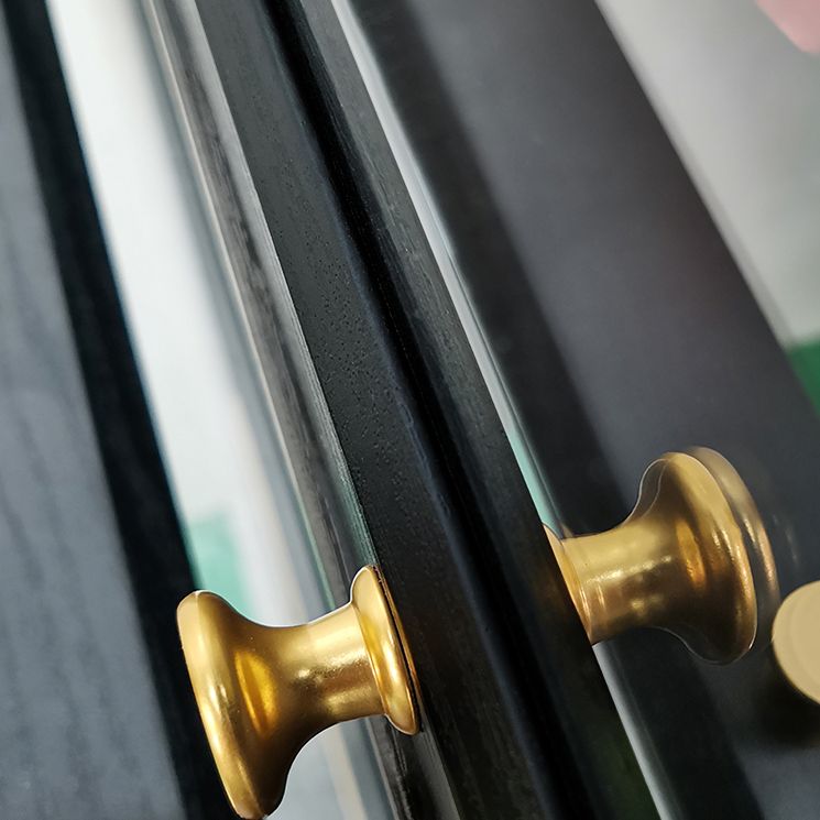 Modern Style Bookcase Standard Closed Back Wooden Bookshelf with Doors Clearhalo 'Bookcases' 'furn' 'furn_bookcases' 'Furniture' 'Office Furniture' 1200x1200_c1815c5d-bcc6-4d6e-8ad6-6da09eef2828