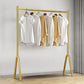 Contemporary Style Coat Hanger Metal 2 Legs Base Coat Rack for Living Room