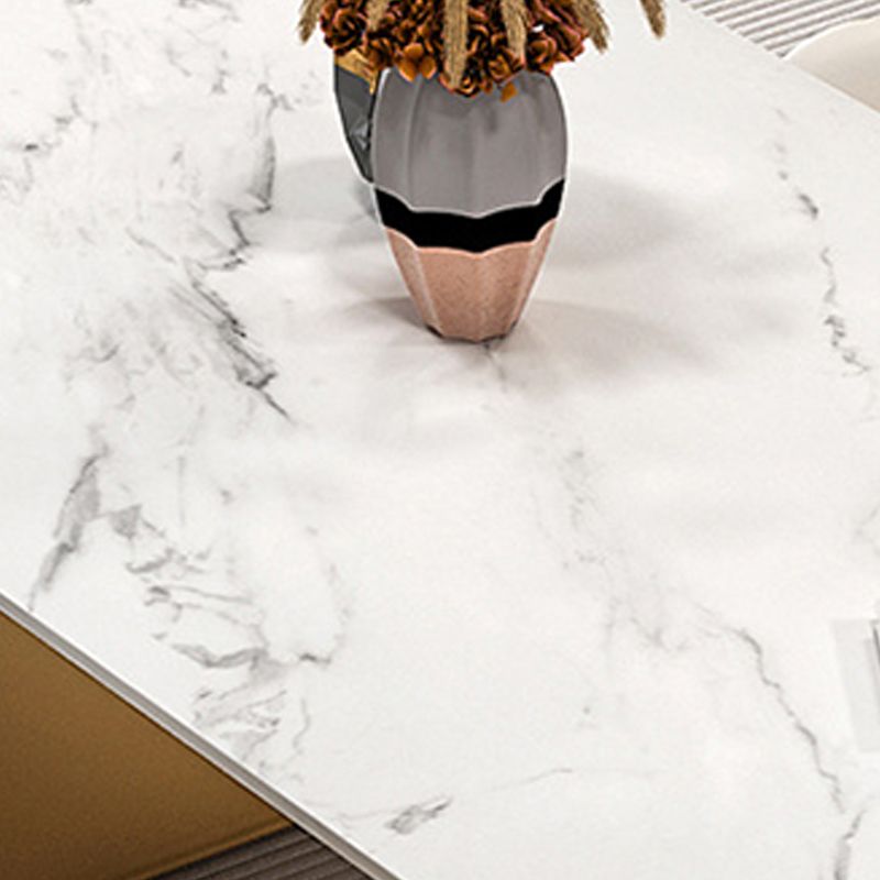 Modern Sintered Stone Dining Table Double Pedestal Table for Home Use Clearhalo 'Dining Tables & Seating' 'Dining Tables' 'dining_table' 'furn' 'furn_dining_table' 'Furniture' 'Kitchen & Dining Furniture' 1200x1200_c2b746f5-86b6-41c4-8580-ce6a29464d28