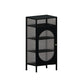 Contemporary Buffet Server Metal Dining Server with Doors for Living Room Clearhalo 'buffet_sideboard' 'Buffets & Sideboards' 'furn' 'furn_buffet_sideboard' 'Furniture' 'Kitchen & Dining Furniture' 1200x1200_c3170f77-7764-4577-91dc-594df0bdc9ac