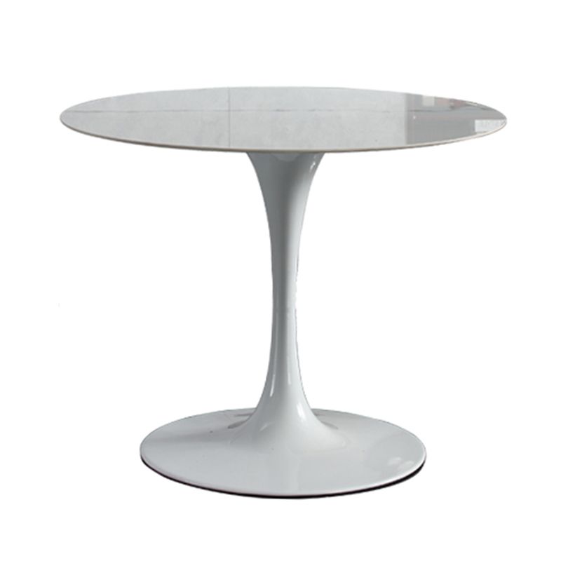 Modern Round Dining Room Table Sintered Stone Dining Table with Tulip Base Clearhalo ' dining_table' 'Dining Tables & Seating' 'Dining Tables' 'furn' 'furn_dining_table' 'Furniture' 'furniture_dining_table' 'Kitchen & Dining Furniture' 'kitchen&dining_furn' 'kitchen' 'kitchen_dining_table' 1200x1200_c31fff8d-65fa-4069-bfd8-7ea4b00d5414