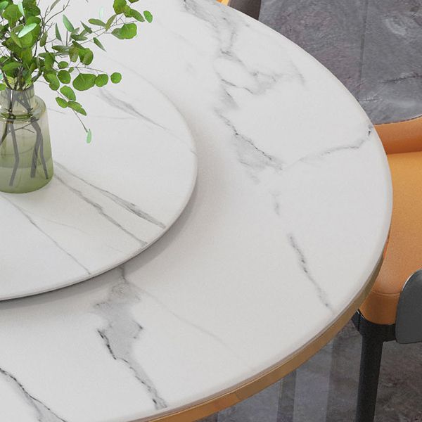 Metal Contemporary Round Dining Table Sintered Stone Table with Pedestal Base Clearhalo ' dining_table' 'Dining Tables & Seating' 'Dining Tables' 'furn' 'furn_dining_table' 'Furniture' 'furniture_dining_table' 'Kitchen & Dining Furniture' 'kitchen&dining_furn' 'kitchen' 'kitchen_dining_table' 1200x1200_c33909d2-ee67-4d66-8369-236eec0690b1