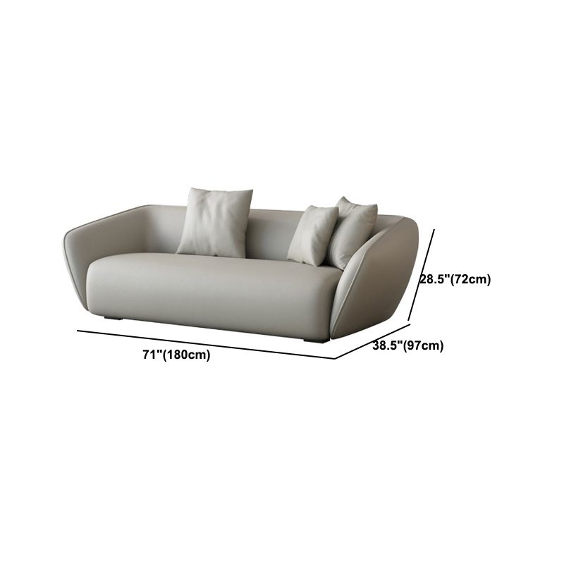 Genuine Leather Sloped Arm Sofa Contemporary Standard Sofa with Pillows Clearhalo 'furn' 'furn_sofas' 'Furniture' 'Living Room Furniture' 'Sofa' 'sofas' 1200x1200_c3cbf314-38ec-47fb-85b2-515b74820506