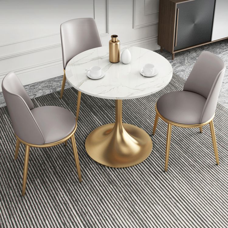 1/2/4/5 Pcs Metal Glam Dining Room Set with Round Table and Metal Base Dining Set Clearhalo 'Dining Room Sets' 'Dining Tables & Seating' 'dining_room_set' 'furn' 'furn_dining_room_set' 'Furniture' 'furniture_dining_room_set' 'Kitchen & Dining Furniture' 'kitchen&dining_furn' 'kitchen' 1200x1200_c3fb3d22-3ed1-41b5-baf1-8b116b052be8