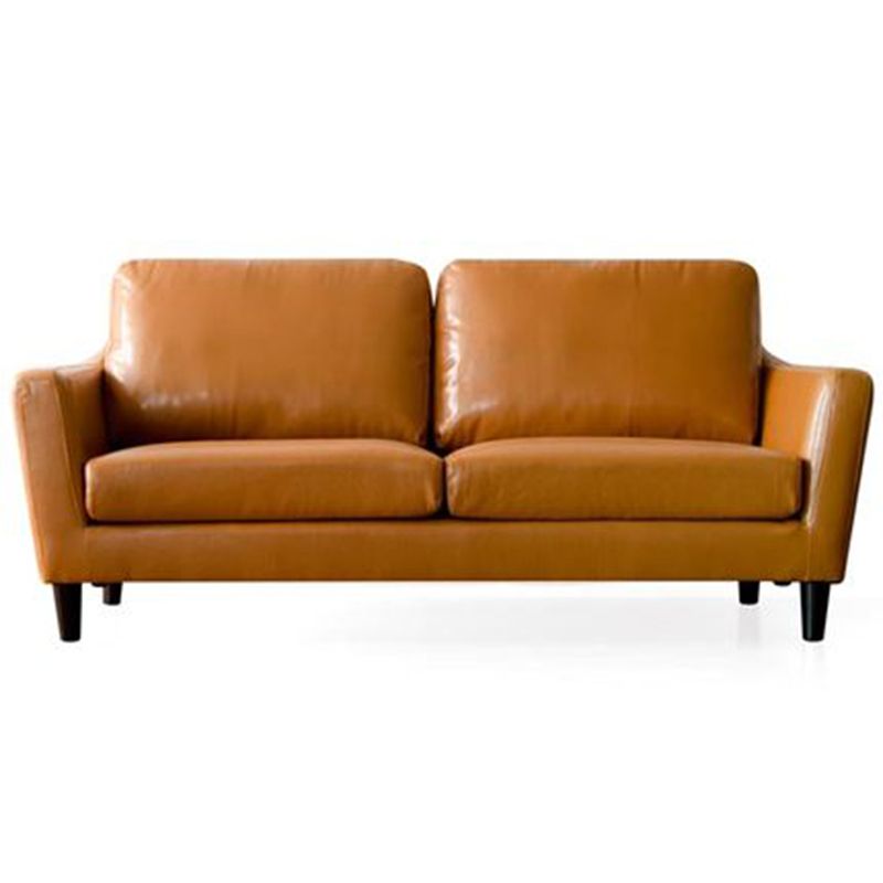 Transitional Faux Leather Flared Arm Sofa with 2 Pillows for Living Room Clearhalo 'furn' 'furn_sofas' 'Furniture' 'furniture_sofas' 'kitchen' 'kitchen_sofas' 'Living Room Furniture' 'Sofa' 'sofas' 1200x1200_c4792f79-e3ca-4a26-b055-01b6f2b6f23d