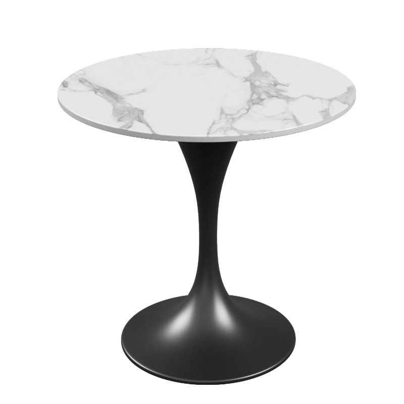 Modern Style Sintered Stone Dining Set Round 1/3/4/5 Pieces Dining Set for Home Use Clearhalo 'Dining Room Sets' 'Dining Tables & Seating' 'dining_room_set' 'furn' 'furn_dining_room_set' 'Furniture' 'Kitchen & Dining Furniture' 1200x1200_c4cf6360-577f-4d98-bb22-106d82ccda17