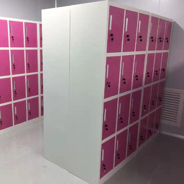 Metalen matte afwerking Kast Hedendaagse opbergkast met scharnierende deur