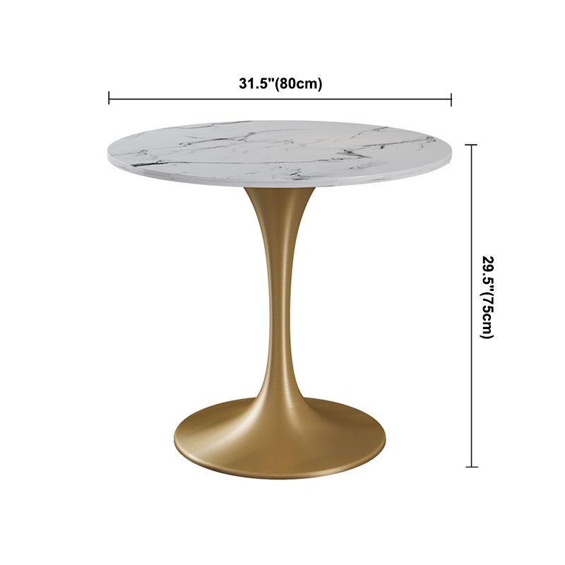 Traditional Luxury Style Dining Table White Round Sintered Stone Table Clearhalo ' dining_table' 'Dining Tables & Seating' 'Dining Tables' 'furn' 'furn_dining_table' 'Furniture' 'furniture_dining_table' 'Kitchen & Dining Furniture' 'kitchen&dining_furn' 'kitchen' 'kitchen_dining_table' 1200x1200_c59f7b71-1858-4626-8b6e-51c6632b0f31