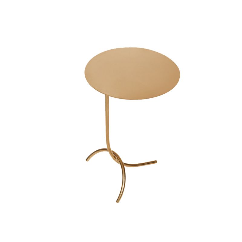 Mid-Century Stainless Steel Round Top Side Table 11-inch Pedestal End Table Clearhalo 'Coffee & Accent Tables' 'End & Side Tables' 'end_side_tables' 'furn' 'furn_end_side_tables' 'Furniture' 'Living Room Furniture' 1200x1200_c5b9342e-e7d7-4d90-8455-0bd7de2a6083