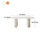 Sintered Stone Luxury Dining Table Traditional Oval Dining Table with Double Pedestal Base Clearhalo ' dining_table' 'Dining Tables & Seating' 'Dining Tables' 'furn' 'furn_dining_table' 'Furniture' 'furniture_dining_table' 'Kitchen & Dining Furniture' 'kitchen&dining_furn' 'kitchen' 'kitchen_dining_table' 1200x1200_c5dc0e14-e7eb-4937-82c1-907f09f52580