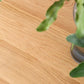 Round Dining Site Table Simple Style Solid Wood Furniture with Drop Leaf Clearhalo ' dining_table' 'Dining Tables & Seating' 'Dining Tables' 'furn' 'furn_dining_table' 'Furniture' 'furniture_dining_table' 'Kitchen & Dining Furniture' 'kitchen&dining_furn' 'kitchen' 'kitchen_dining_table' 1200x1200_c6820c75-5640-4042-9c5a-2e228ec31a86