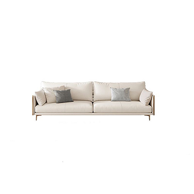Living Room Velvet Settee Pillow Top Arm Standard Sofa with Cushion Back Clearhalo 'furn' 'furn_sofas' 'Furniture' 'furniture_sofas' 'Living Room Furniture' 'Sofa' 'sofas' 1200x1200_c69837eb-6391-42e2-8985-3ad210b5c478