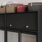 Industrial Pine Wood Wardrobe Cabinet 2-Doors Wardrobe in Black