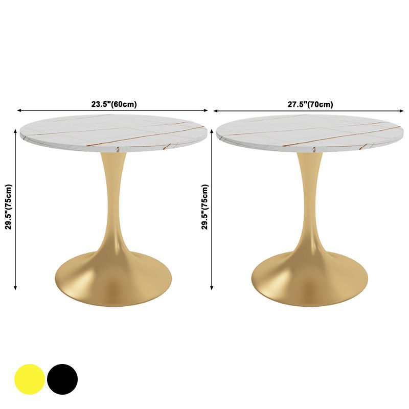 Traditional Luxury Round Table Stone Dining Room Collection for Indoor Clearhalo ' dining_table' 'Dining Tables & Seating' 'Dining Tables' 'furn' 'furn_dining_table' 'Furniture' 'furniture_dining_table' 'Kitchen & Dining Furniture' 'kitchen&dining_furn' 'kitchen' 'kitchen_dining_table' 1200x1200_c6c5efa8-75d0-4464-8b00-700abc663d33