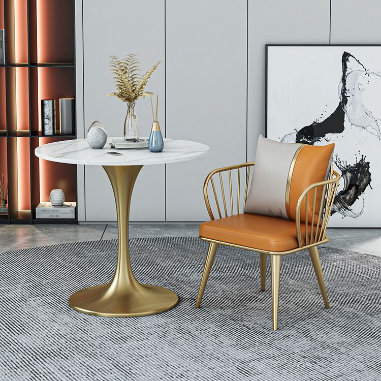Glam 1/2/3/4/5 Pieces Sintered Stone Dining Set Dining Furniture Set /Separate Items Clearhalo 'Dining Room Sets' 'Dining Tables & Seating' 'dining_room_set' 'furn' 'furn_dining_room_set' 'Furniture' 'furniture_dining_room_set' 'Kitchen & Dining Furniture' 'kitchen&dining_furn' 'kitchen' 1200x1200_c730fd5a-9223-4cfb-b0d9-a8d534849bdd