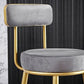 Glam Armless Backrest Counter Stool Iron Cushion Bar Stool with and Pedal Clearhalo 'Bar Furniture' 'Bar Stools' 'bar_stools' 'furn' 'furn_bar_stools' 'Furniture' 'furniture_bar_stools' 'Kitchen & Dining Furniture' 1200x1200_c7529319-5c54-4dad-9f13-6558ac0811db