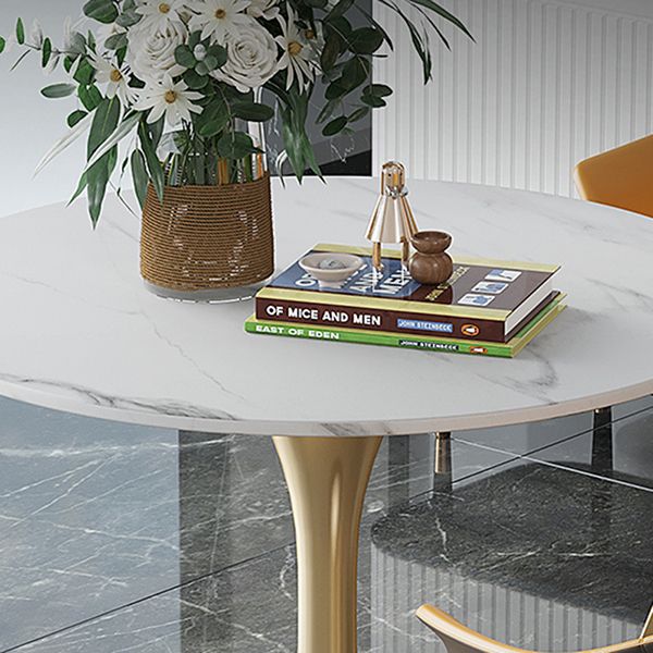 Round Tulip Base Luxury Dining Table White Tone Fixed Table with Sintered Stone Clearhalo ' dining_table' 'Dining Tables & Seating' 'Dining Tables' 'furn' 'furn_dining_table' 'Furniture' 'furniture_dining_table' 'Kitchen & Dining Furniture' 'kitchen&dining_furn' 'kitchen' 'kitchen_dining_table' 1200x1200_c7579a1f-283a-487f-b98d-b4facca2411a
