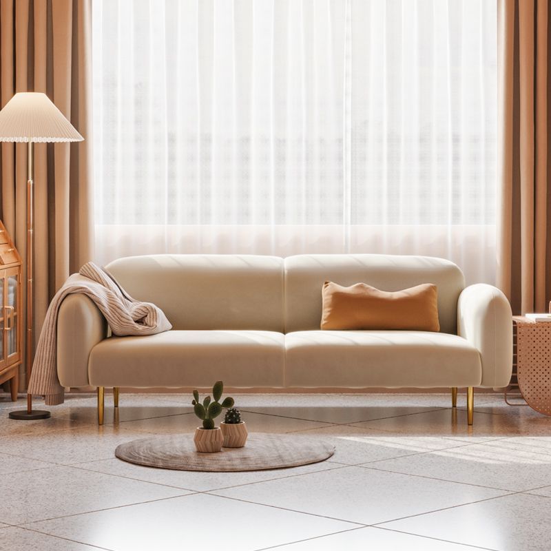 Transitional Modern Tight Back Sofa 29.53"High Velvet Rolled Arm Sofa for Living Room Clearhalo 'furn' 'furn_sofas' 'Furniture' 'furniture_sofas' 'kitchen' 'kitchen_sofas' 'Living Room Furniture' 'Sofa' 'sofas' 1200x1200_c762f4cc-6986-4060-84e2-f1342031d9ae