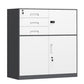 Contemporary File Cabinet Metal Frame Key Lock Lateral File Cabinet for Office Clearhalo 'Filing Cabinets' 'filling_cabinets' 'furn' 'furn_filling_cabinets' 'Furniture' 'Office Furniture' 1200x1200_c791f834-74ee-4f74-ab1d-7373cbf76ec3