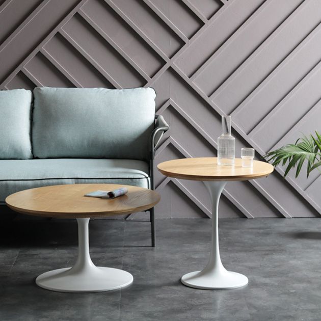 Round Pedestal Casual Dining Table Four-Color Fixed Table with Solid Wood Clearhalo ' dining_table' 'Dining Tables & Seating' 'Dining Tables' 'furn' 'furn_dining_table' 'Furniture' 'furniture_dining_table' 'Kitchen & Dining Furniture' 'kitchen&dining_furn' 'kitchen' 'kitchen_dining_table' 1200x1200_c7a088c7-c5ea-46a1-bd17-626b040c157d