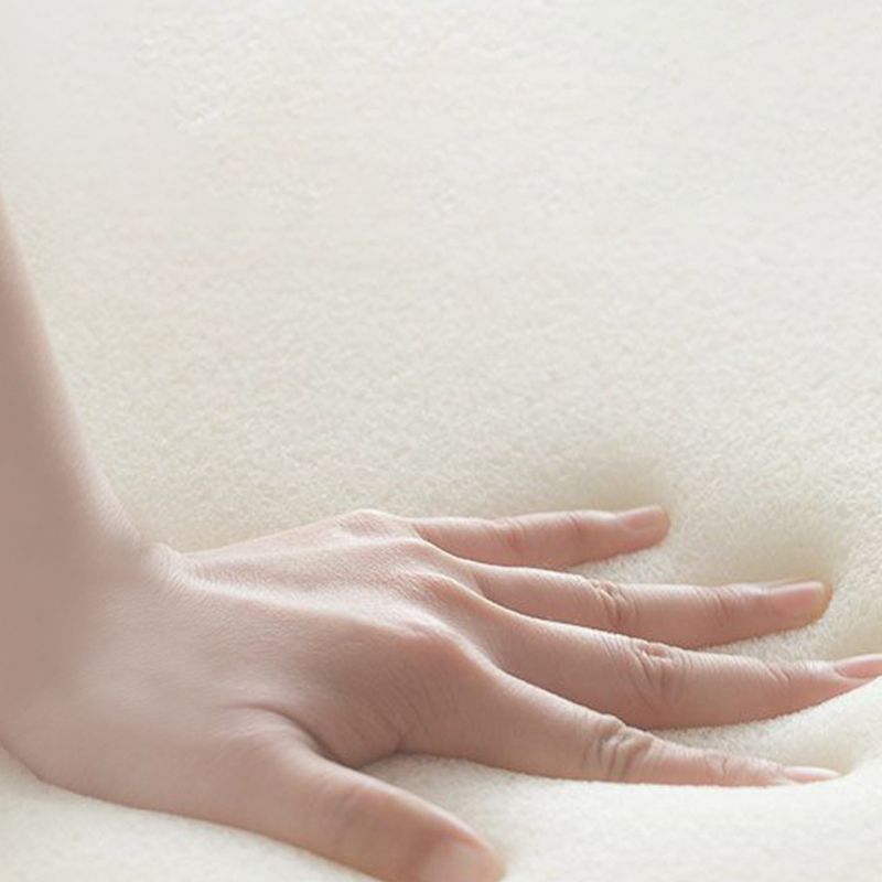 Stationary Stain Resistant Genuine Leather Living Room Pillow Top Arm Sofa Clearhalo 'furn' 'furn_sofas' 'Furniture' 'Living Room Furniture' 'Sofa' 'sofas' 1200x1200_c7ba148d-abf5-419d-854f-6a7d402a1d0f