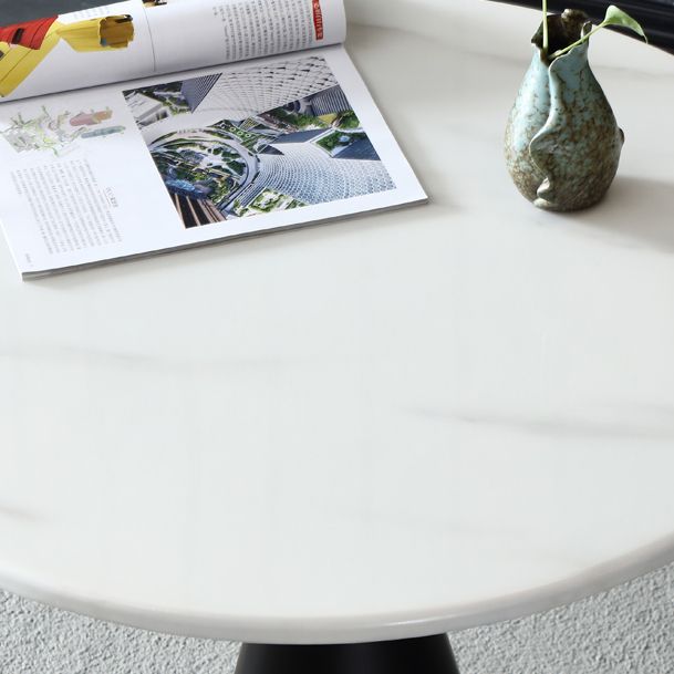 Metal Traditional Luxury Round Table Marble Top Indoor Table with Pedestal Clearhalo ' dining_table' 'Dining Tables & Seating' 'Dining Tables' 'furn' 'furn_dining_table' 'Furniture' 'furniture_dining_table' 'Kitchen & Dining Furniture' 'kitchen&dining_furn' 'kitchen' 'kitchen_dining_table' 1200x1200_c7c33536-de73-4c52-a3e9-2eb6ec7157f1