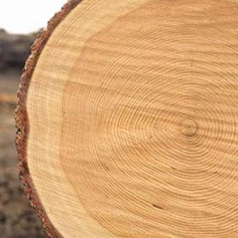 11.7-inch Width Modern Seating Bench Solid Wood Rectangle Bench Clearhalo 'Benches' 'Chairs & Seating' 'furn' 'furn_benches' 'Furniture' 'Living Room Furniture' 1200x1200_c820e8d5-78c1-4f36-98b8-e703f27f0ded